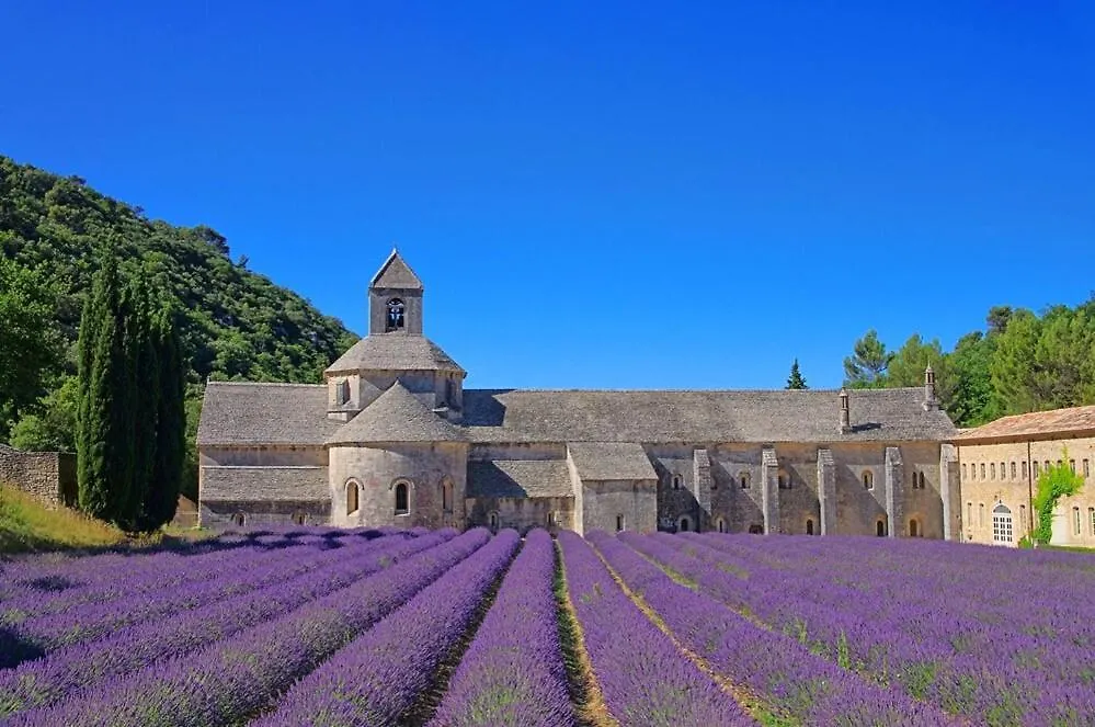 Provence Romantic Home - Heart Historical Village Besse-sur-Issole Apartment