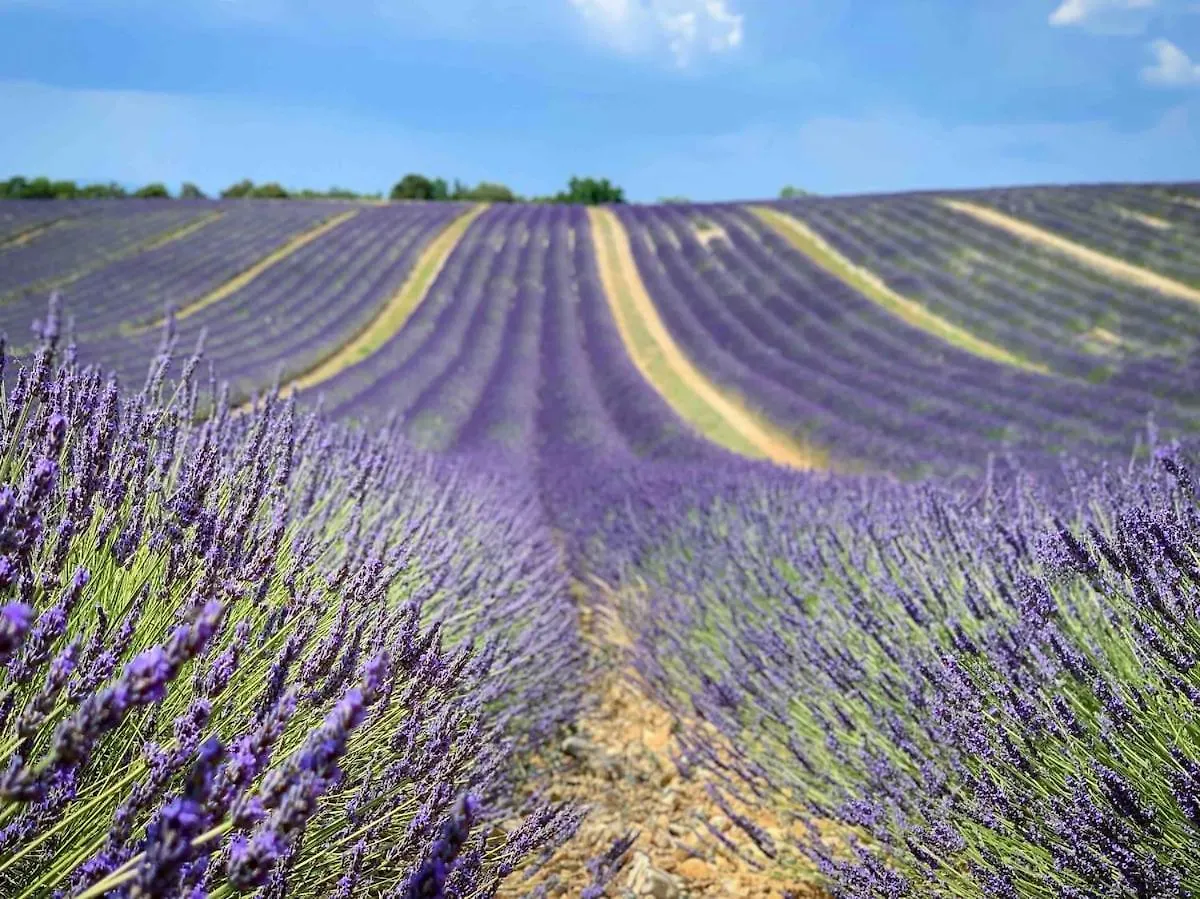 Provence Romantic Home - Heart Historical Village Besse-sur-Issole France